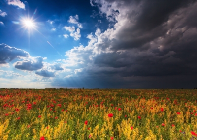 shutterstock_2