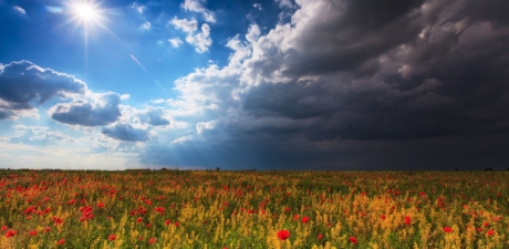 shutterstock_2
